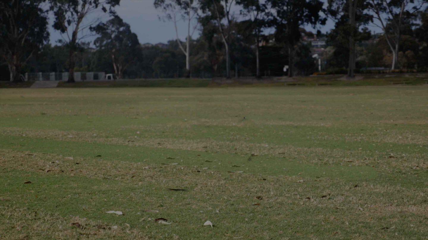 Give A Dog A Home Melbourne Give A Dog A Home Melbourne