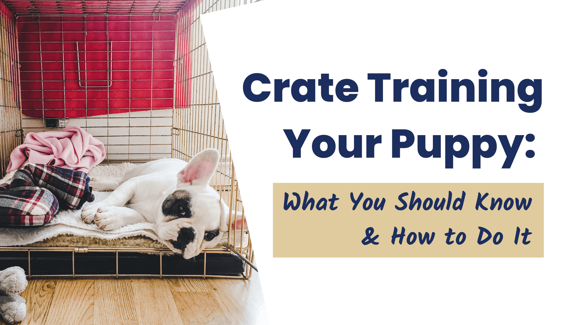 When Can You Crate Train A Puppy At Night