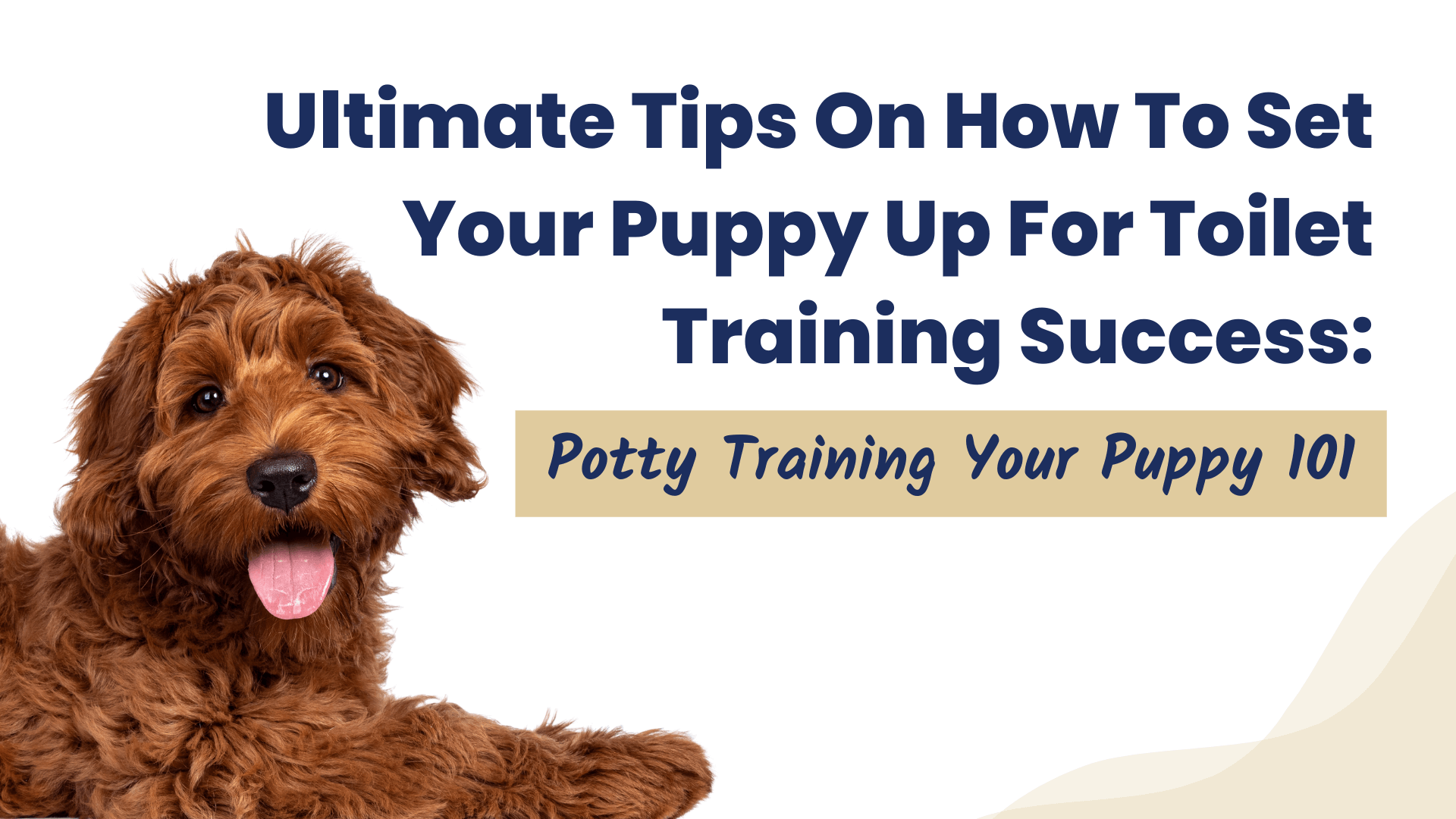 potty training your puppy