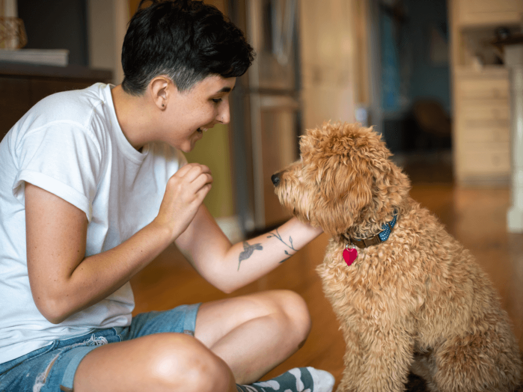 good dog