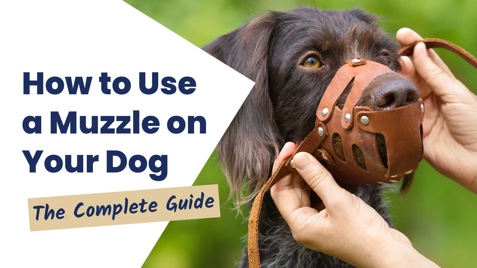 how to use dog muzzle